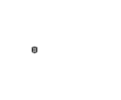 Bradley University